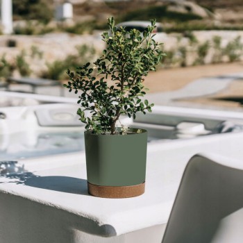 Ghiveci Tubo, verde pin,...